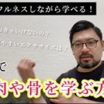 マインドフルネスしながら学べる！【ヨガで筋肉や骨を学ぶ方法】