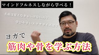 マインドフルネスしながら学べる！【ヨガで筋肉や骨を学ぶ方法】