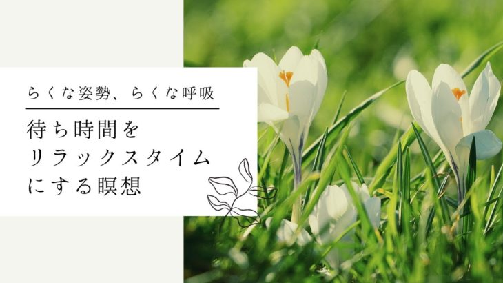 【マインドフルネス瞑想】待ち時間をリラックスタイムにする瞑想