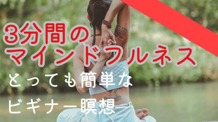 【音声】３分間のマインドフルネス瞑想の練習■リンポチェ僧から学ぶビギナー瞑想■頭の中のおしゃべりや感情は海に起きる波のようなもの■受け取りモードになる