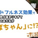 【ティクナットハン式マインドフルネスのすすめ】会社組織の中で活用するマインドフルネス【竹中 吾郎氏対談④】