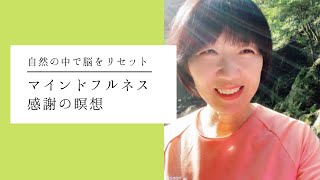 マインドフルネス感謝の瞑想