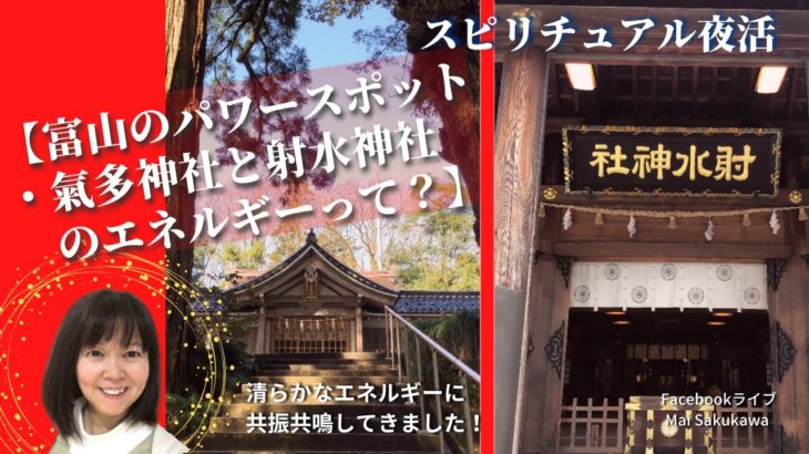 スピリチュアル夜活【富山のパワースポット・氣多神社と射水神社のエネルギーって？】