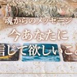 ✨タロット+オラクル✨【魂からのメッセージ　今あなたに信じて欲しいこと】👼本当の自分で生きる人のためのスピリチュアルカードリーディング👼