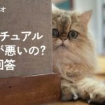 【しじみラジオ】スピリチュアルって何が悪いのか？への回答