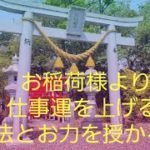 お稲荷様のパワーを届けます#神社 #スピリチュアル