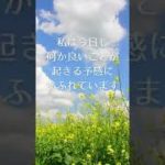 【毎朝1分 アファメーション】朝のポジティブアファメーション マインドフルネス瞑想 #shorts