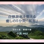自律神経を整える　癒しの５分間『瞑想』【小流 2204】
