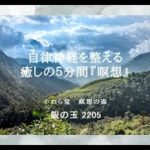 自律神経を整える　癒しの５分間『瞑想』【銀の玉 2205】