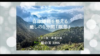 自律神経を整える　癒しの５分間『瞑想』【銀の玉 2205】