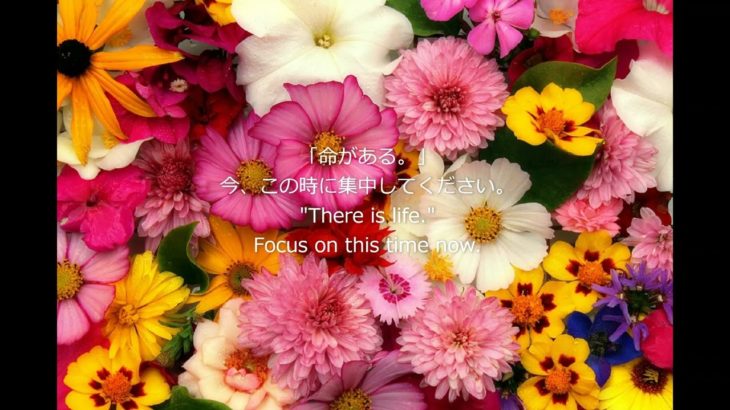 【3分間 瞑想・ヨガ】リラクゼーション動画 ～癒し、オルゴール、BGM～ 疲れの回復、自己肯定感を高める・ヒーリング、鳥の声etc…