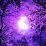 深く眠る|瞑想音楽528Hz|睡眠のための奇跡の癒しの音楽|強力なポジティブエネルギー