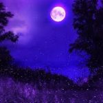 瞑想音楽528Hz|睡眠のための奇跡の癒しの音楽|瞑想的なリラックスできる音楽|深い眠り