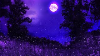 瞑想音楽528Hz|睡眠のための奇跡の癒しの音楽|瞑想的なリラックスできる音楽|深い眠り