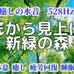 川底から見上げる新緑の森 《528Hz》 心身の休息、癒し、疲労回復、瞑想、睡眠用BGM