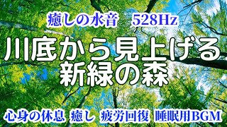 川底から見上げる新緑の森 《528Hz》 心身の休息、癒し、疲労回復、瞑想、睡眠用BGM