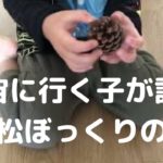6歳の子が松葉のお話しをしました　#スピリチュアル #ライトワーカー #スターシード