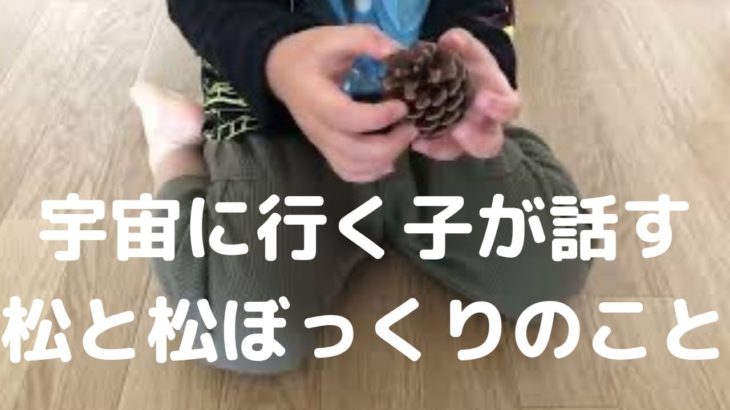 6歳の子が松葉のお話しをしました　#スピリチュアル #ライトワーカー #スターシード
