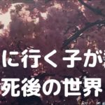 6歳の子が「神様のお仕事」「生と死」「死後の世界」「輪廻転生」について話しました　#スピリチュアル #スターシード #ライトワーカー