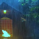 【癒しBGM】テントの中・大きな傘の下で聴く雨音 -1時間-！作業 睡眠 読書 瞑想 ヨガ 勉強用BGM