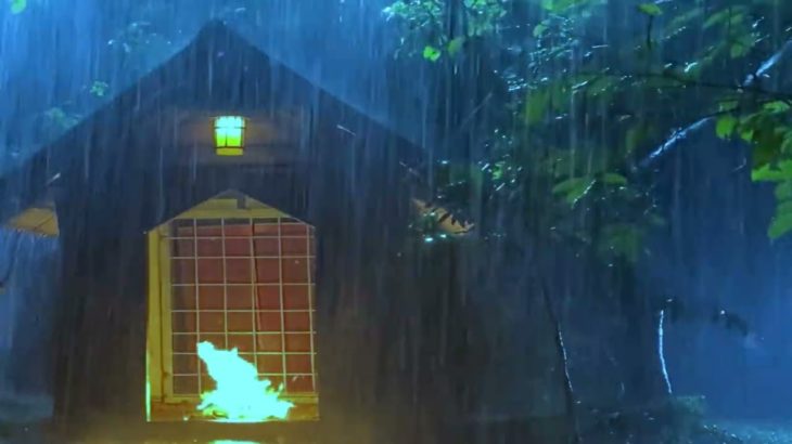 【癒しBGM】テントの中・大きな傘の下で聴く雨音 -1時間-！作業 睡眠 読書 瞑想 ヨガ 勉強用BGM