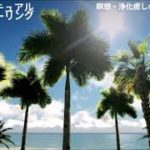 スピリチュアルヒーリング瞑想・浄化/癒しの音楽/波音とBGM/見るだけで幸せに導く南国の海とヤシの木・リラクゼーション・ストレス解消・リラックス効果