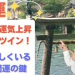 【スピリチュアル】りゅうちぇるを見て思うこと スピリチュアルカウンセラーMARIA