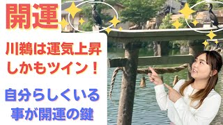 【スピリチュアル】りゅうちぇるを見て思うこと スピリチュアルカウンセラーMARIA