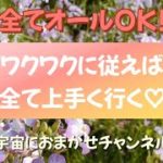 全てオールOK‼︎ ワクワクに従えば上手くいく♡#スピリチュアル  #宇宙の法則 #宇宙エネルギー