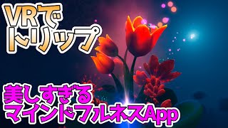 VRゴーグル初心者に最適！マインドフルネス用アプリ「Tripp」をやってみた。オキュラス・クエスト2【Meta Oculus Quest 2】