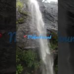 #ニュージーランド#ワーホリ#滝#自然 #一人旅 #海外生活 #アラサー#旅 #瞑想#マインドフルネス #love #newzealand #travel #nature #life #freedom