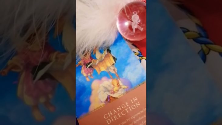 エンジェルこま【本日のスピリチュアルメッセージ】カード占い　＃shorts