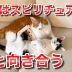 生活はスピリチュアル　物と向き合う