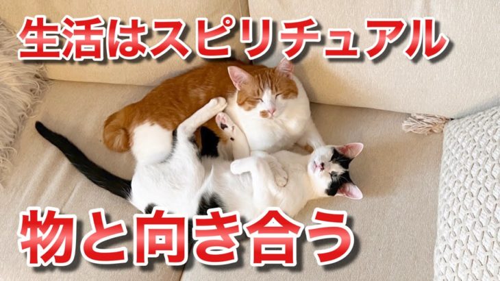 生活はスピリチュアル　物と向き合う