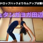 アシュタンガヨガ田辺和歌山　ドロップバックとカムアップの固定概念について