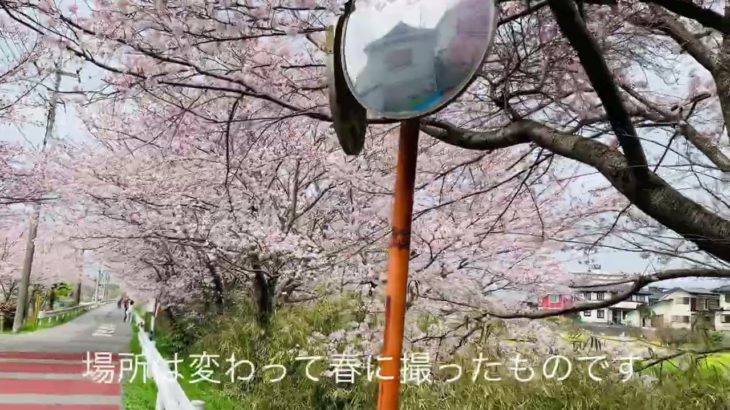 〖リラクゼーション動画〗日々の散歩＆瞑想、癒しの波動