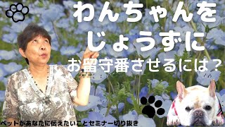 わんちゃんをじょうずにお留守番させるには？#スピリチュアル#ペット#犬