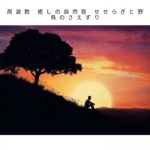 瞑想 癒しの自然音 癒しの自然音