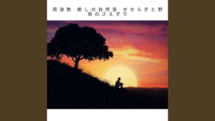 瞑想 癒しの自然音 癒しの自然音