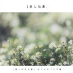 瞑想 [癒しの自然音] 静かな夏の夜に、涼しげな音楽