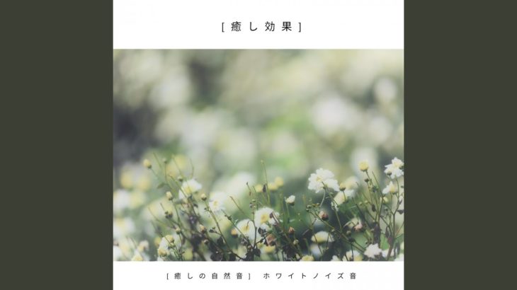 瞑想 [癒しの自然音] 静かな夏の夜に、涼しげな音楽