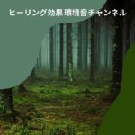 瞑想 癒しの自然音 環境音チャンネル