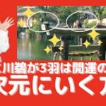 【スピリチュアル】別次元にいく方法 パラレルワールドに移行する方法