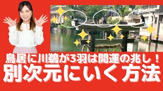 【スピリチュアル】別次元にいく方法 パラレルワールドに移行する方法