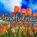 マインドフルネス瞑想