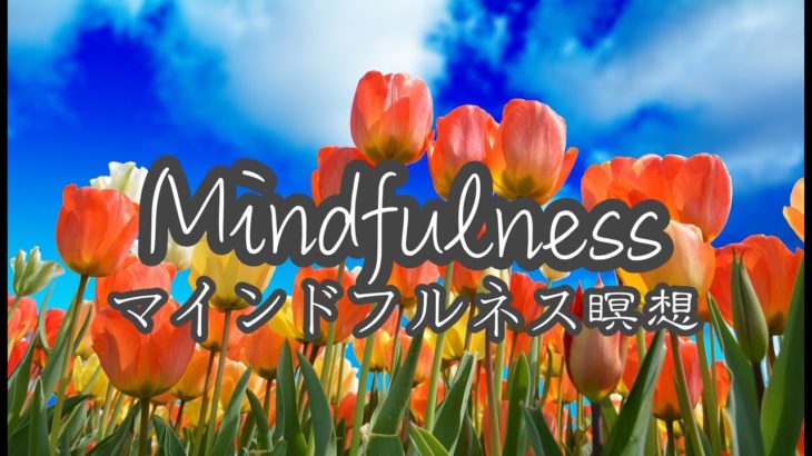 マインドフルネス瞑想