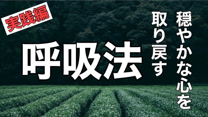 マインドフルネス呼吸法【パニック障害／実践編】