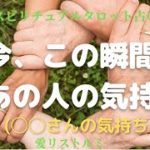 [スピリチュアルタロット占い]🔮今、この瞬間のあの人の気持ち🌠今回は貴方が知りたい人を当てはめてね😊(○○さんの気持ち🌠）３択～📍