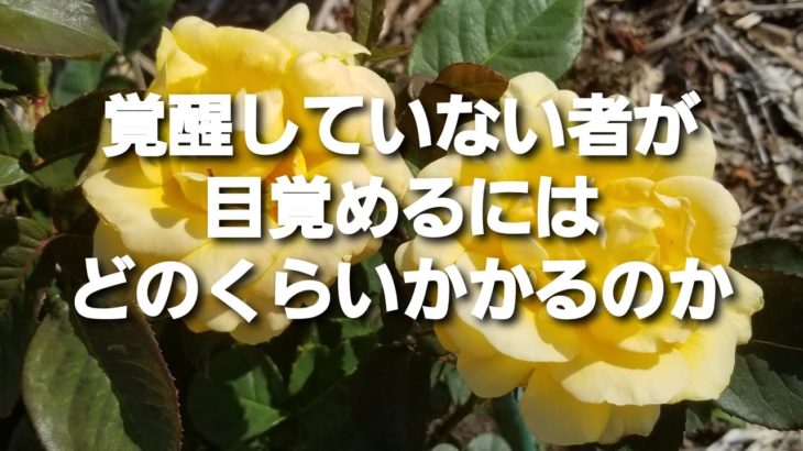 アークトゥリアンからのメッセージ2022.6.9#目醒め #アセンション #スピリチュアル #瞑想