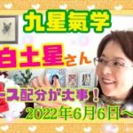 【占い】八白土星さんへ！【九星気学】スピリチュアルメッセージ！2022年6月は、引き続きお忙しい中、確実に今年始めた新しい物事を形にしていく収穫の時！だからこそ、ペース配分と「塩梅」を大切に❤︎